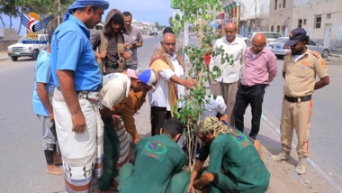 Hodeida cleanness fund starts planting city streets Hodeida cleanness fund starts planting city streets