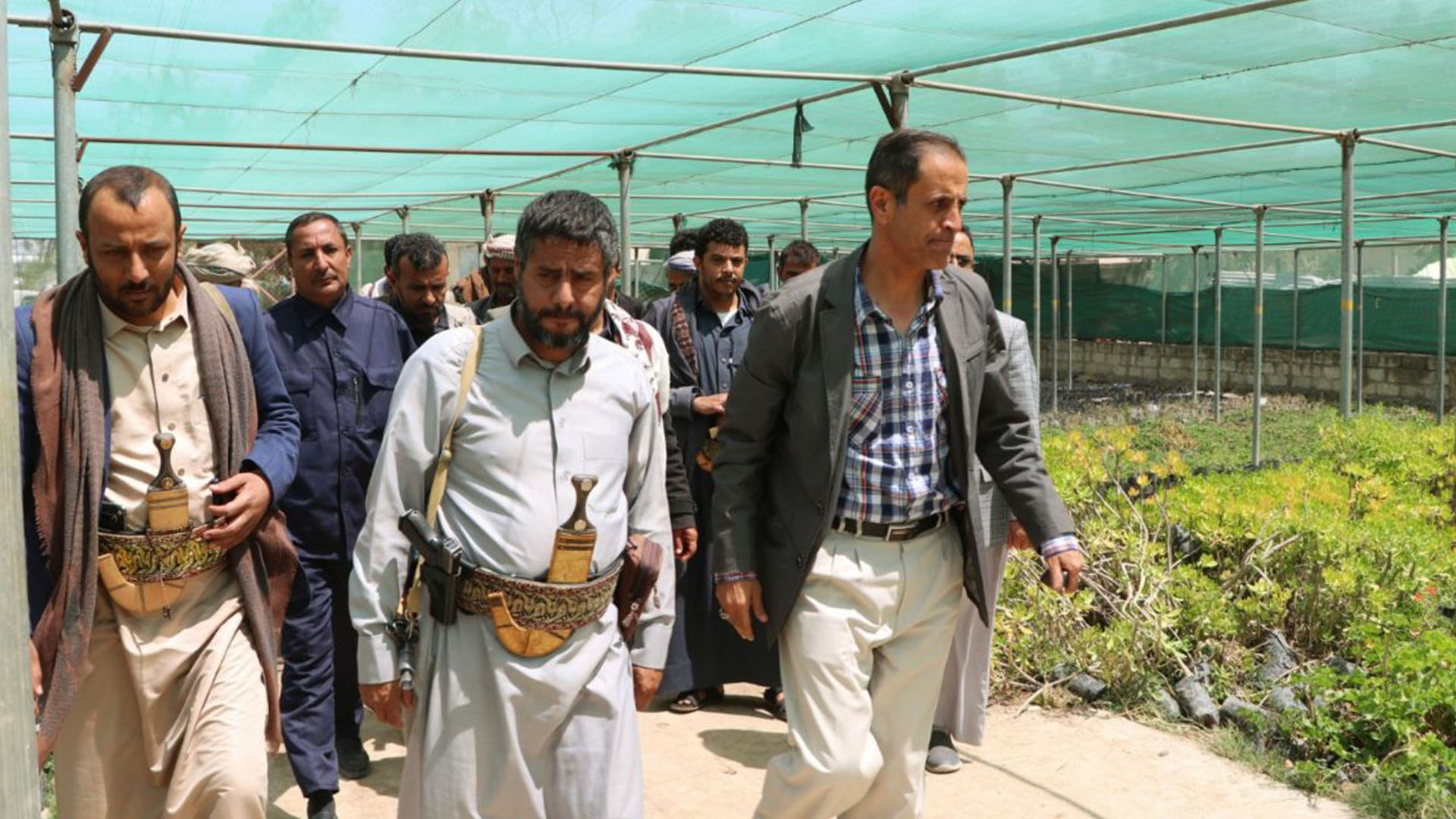 محافظ ذمار يطلع على مشروع إنتاج مليون و300 ألف شتلة عنب وتين محافظ ذمار يطلع على مشروع إنتاج مليون و300 ألف شتلة عنب وتين