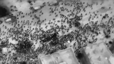Flour massacres in Gaza...Genocide crimes in its new form Flour massacres in Gaza...Genocide crimes in its new form