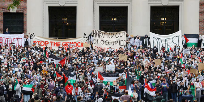 Cities & Global Capitals demonstrate against aggression on Gaza Strip Cities & Global Capitals demonstrate against aggression on Gaza Strip