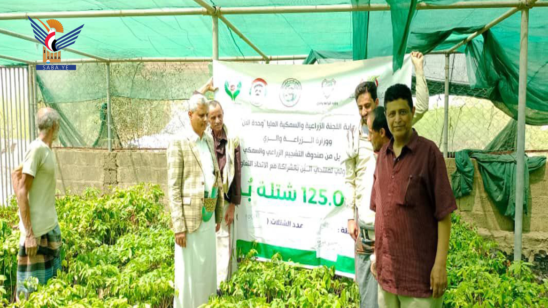 توزيع تسعة الآف شتلة بُن في ثلاث مديريات بذمار توزيع تسعة الآف شتلة بُن في ثلاث مديريات بذمار