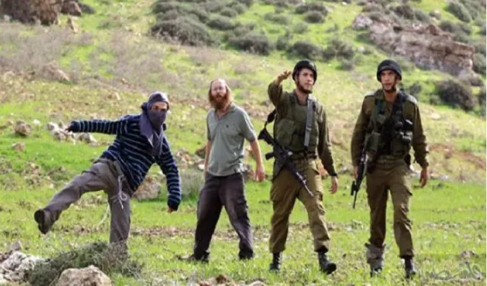 Settlers assaulted Palestinians in Al-Khalil, attacked citizen in Al-Mughayyir Settlers assaulted Palestinians in Al-Khalil, attacked citizen in Al-Mughayyir