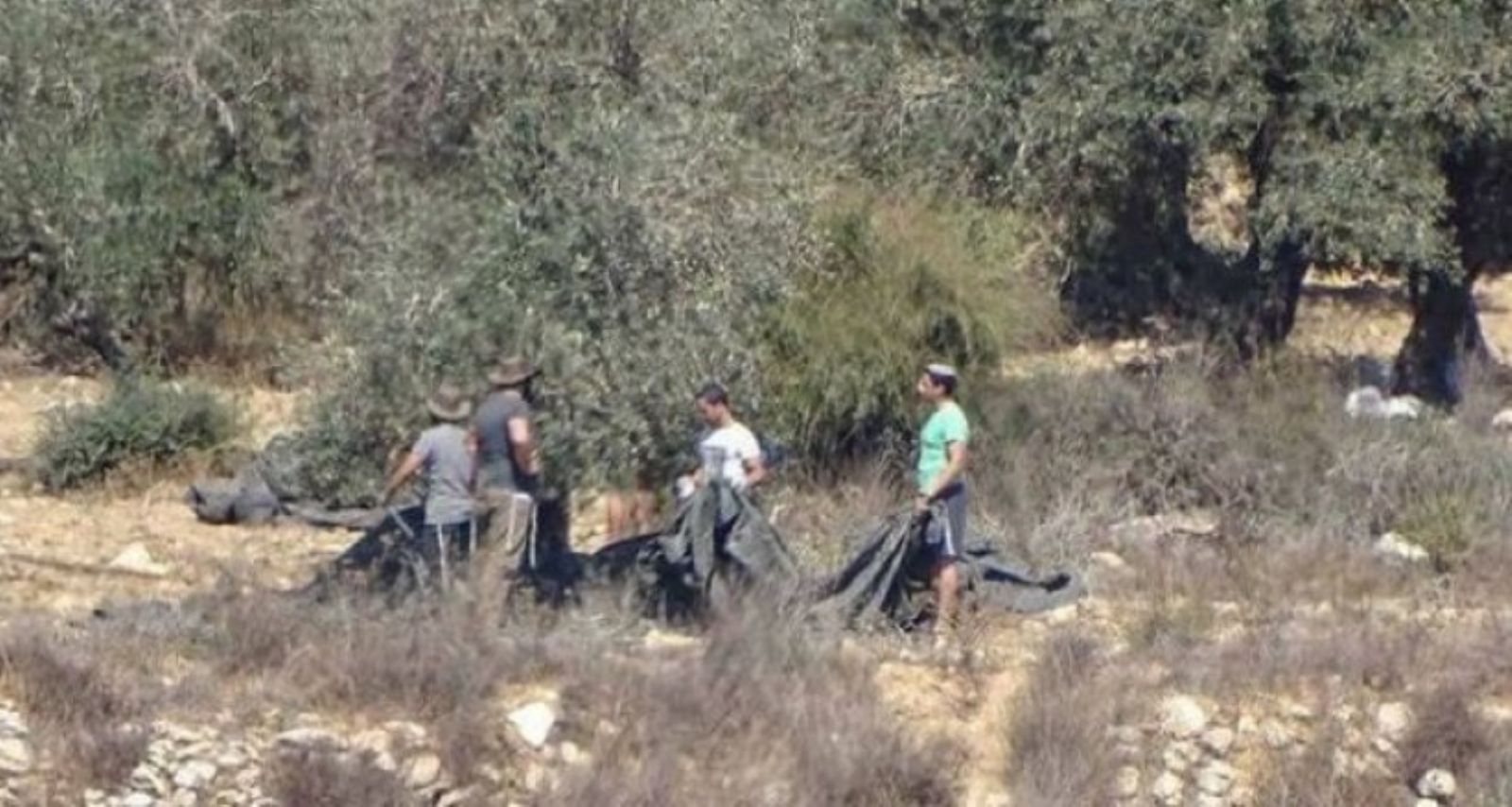 مستوطنون يهود يسرقون مستلزمات زراعية في الضفة الغربية المحتلة
