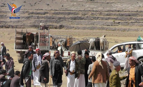 Ruaeen à Ibb envoie un convoi de fête courant sur les fronts Ruaeen à Ibb envoie un convoi de fête courant sur les fronts