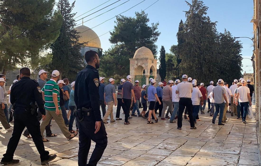 59 Siedler stürmen Al-Aqsa-Innenhöfe 59 Siedler stürmen Al-Aqsa-Innenhöfe