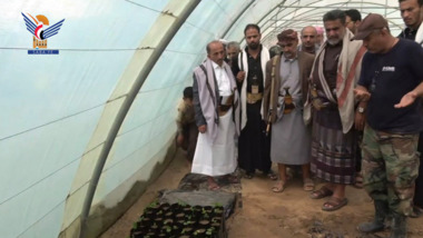 Governor of Al-Bayda briefed on Central Agricultural Nursery activity Governor of Al-Bayda briefed on Central Agricultural Nursery activity