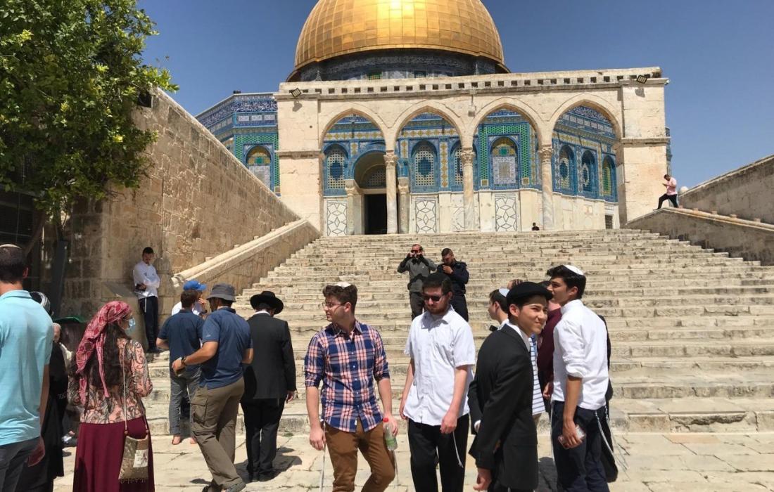 Zionistische Siedler erneuern die Schändung der Innenhöfe der Al-Aqsa-Moschee