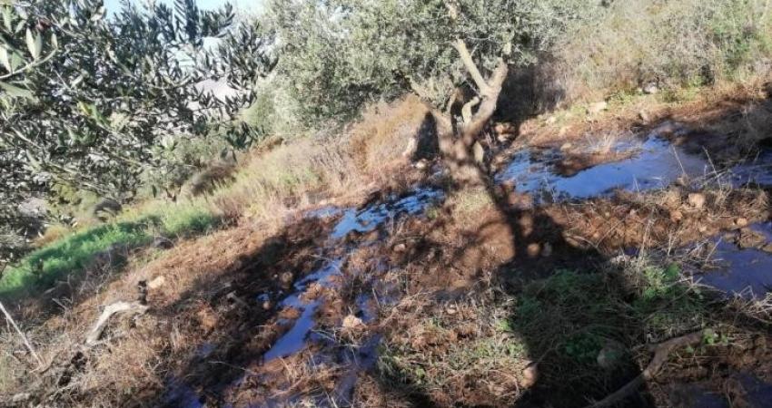 Bandadas de colonos bombean aguas residuales a las tierras de Nahalin, al oeste de Belén Bandadas de colonos bombean aguas residuales a las tierras de Nahalin, al oeste de Belén