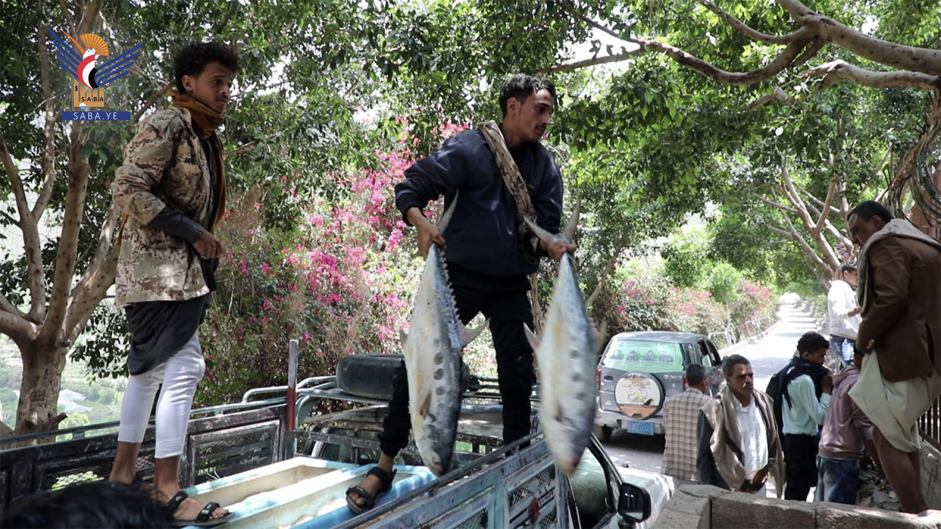 Entsorgen von mehr als eineinhalb Tonnen verdorbenem Fisch in Ibb