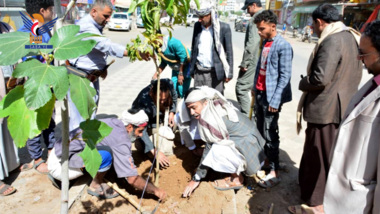 Afforestation works inauguration on central islands of Sana’a Center streets