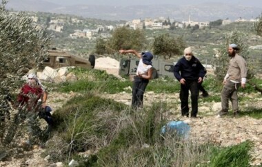 مستوطنون صهاينة يهاجمون بلدة ترمسعيا