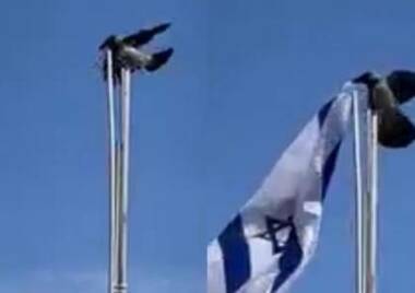 Con la escalada de las protestas contra el gobierno de Netanyahu, la entidad del enemigo sionista se está erosionando rápidamente desde dentro.