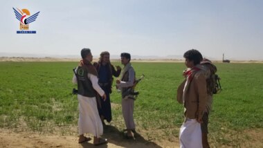Inspezierung des Mechanismus des Weizenanbaus auf der Farm des Großen Propheten in Al-Dschouf
