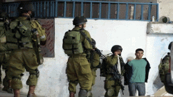 الاحتلال يعتقل عشرة فلسطينيين في مناطق مختلفة بالضفة الغربية المحتلة