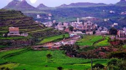صلح قبلي بصنعاء ينهي نزاعا بين آل واصل من الضالع وآل مقشر من إب