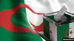 الهيئة الوطنية المستقلة للانتخابات في الجزائر: نسبة التصويت بلغت 41 %