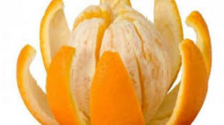 دراسة تكشف فوائد عديدة لقشر البرتقال وخاصة للقلب