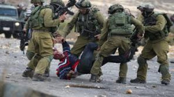 الاحتلال يعتقل 17 فلسطينيا على الأقل بالضفة الغربية