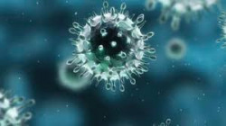 اليابان: سنستمر باتخاذ الخطوات اللازمة عقب تفشي فيروس (كورونا) بالصين