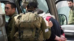  الاحتلال يعتقل فلسطيني في بلدة بيت أمر شمال الخليل