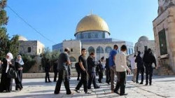  عشرات المستوطنين يقتحمون باحات المسجد الاقصى