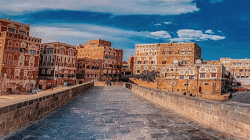 دورة تدريبية حول صحة الحيوان بكلية الطب البيطري جامعة صنعاء