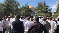  عشرات المستوطنين يقتحمون باحات المسجد الاقصى