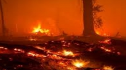 مقتل 19 في حريق غابات جنوب غرب الصين