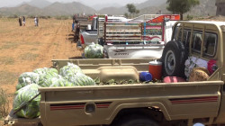 قافلة غذائية ومالية من قبائل مديرية الجعفرية دعماً للجبهات