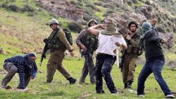 اصابات خلال اعتداء الاحتلال ومستوطنيه على الفلسطينيين في الضفة واعتقال 27 فلسطينيا