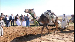 محافظ صنعاء يطلع على زراعة الحبوب في بني مطر