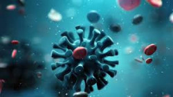 بريطانيا تؤكد ان منشأ فيروس كورونا ليس من صناعة البشر