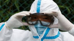 باحثون صينيون يحذرون من فيروس جديد يمكن أن يتحول إلى جائحة