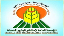 المؤسسة العامة لإكثار البذور تدشن موسم زراعة القمح بذمار