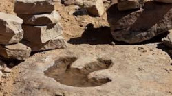 اكتشاف حفريات لديناصورات من العصر الطباشيري جنوبي الصين