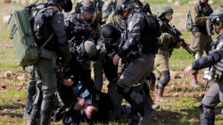 الاحتلال الإسرائيلي يعتقل مواطنين فلسطينيين من محافظة الخليل