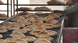 مناقشة آليات تنظيم بيع الخبز بالأوزان والأسعار والمواصفات المحددة