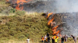  مستوطنون يحرقون أراضي زراعية فلسطينية واسعة جنوب نابلس