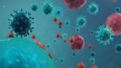علماء بريطانيون يكشفون عن ستة أنواع من فيروس كورونا