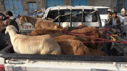 أبناء مدينة ذمار يقدمون قافلة عيدية للمرابطين بالجبهات