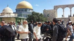  مستوطنون يقتحمون المسجد الاقصى بحراسة الاحتلال الاسرائيلي