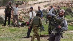 مستوطنون إسرائيليون يعتدون على الفلسطينيين وممتلكاتهم جنوب الخليل