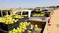 قافلة غذائية من أبناء وقبائل الحشوة بصعدة دعماً للمرابطين في الجبهات