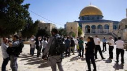 عشرات المستوطنين يقتحمون المسجد الأقصى بحماية قوات الاحتلال