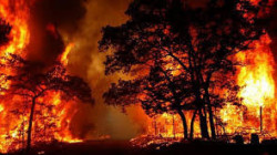 إخلاء مستشفى ومئات المنازل في كاليفورنيا جراء حريق غابات