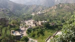 إتلاف لحوم غير صالحة للإستخدام بتعز
