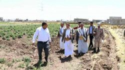 تفقد الحقول الزراعية لشركة إنتاج البطاطس والمؤسسة العامة لإكثار البذور بذمار