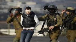 قوات الاحتلال تعتقل 11 فلسطينياً في الضفة الغربية
