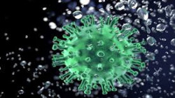 الهند تسجل 54 ألفاً و44 حالة إصابة جديدة بفيروس كورونا