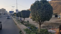 صندوق النظافة بصنعاء يواصل تأهيل الجزر الوسطية